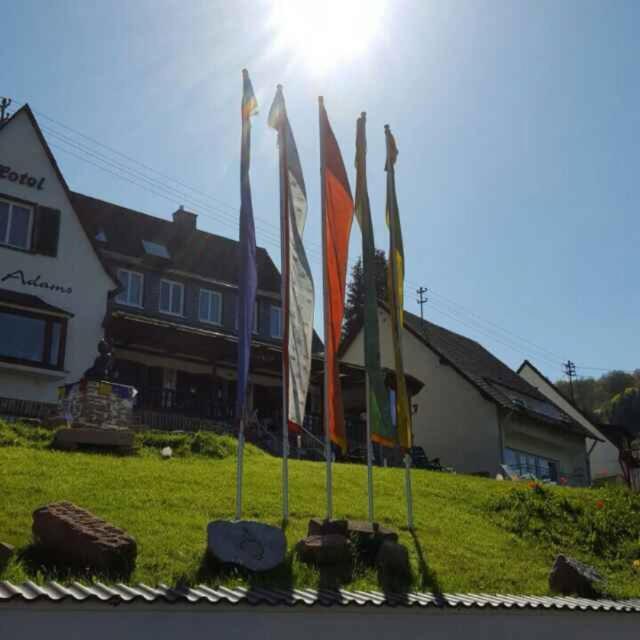Haus Adams - Das Wohlfuehl Gaestehaus Boppard Dış mekan fotoğraf